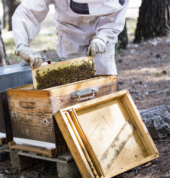 Capture d’écran 2025-11-03 122143